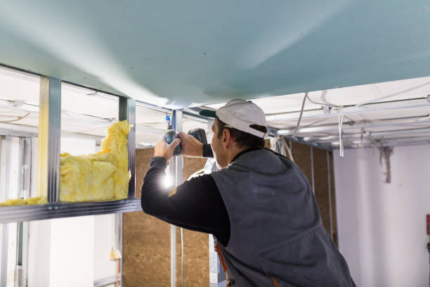 Best Crawl Space Insulation  in Baidland, PA