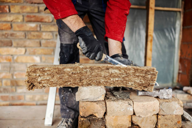 Best Attic Insulation Installation  in Baidland, PA