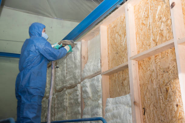 Best Attic Insulation Installation  in Baidland, PA