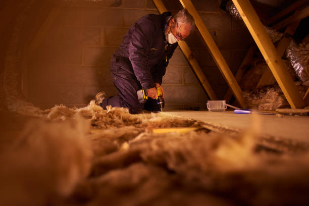 Best Insulation Replacement Services  in Baidland, PA