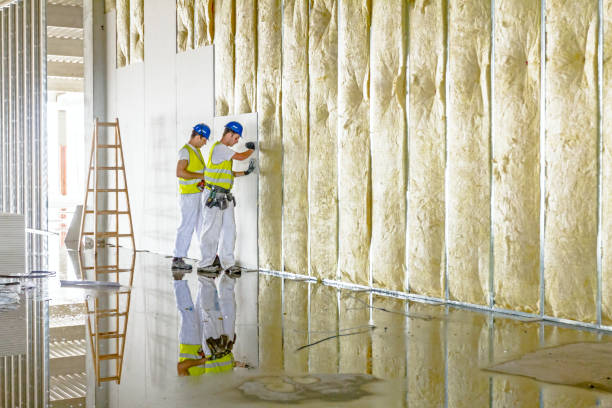 Best Insulation Inspection Services  in Baidland, PA
